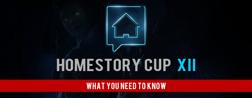 0.58 What You Need To Know HomeStory Cup