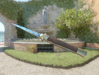 All CS2 Stiletto Knife