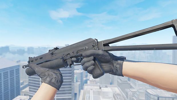 PP-Bizon-CS2